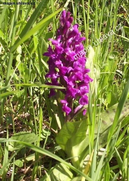 okno uzav�ete kliknut�m !