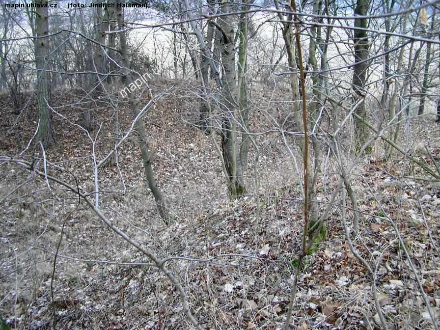 Jind�ich Hai�man