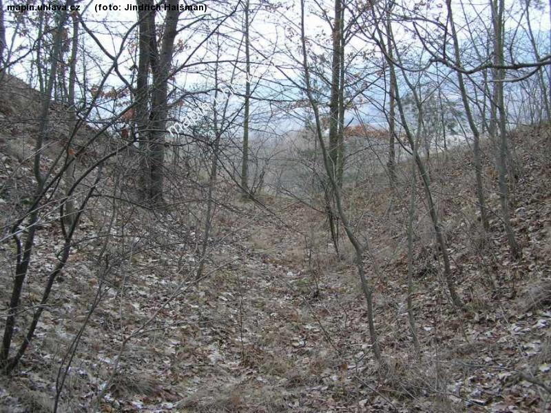 Jind�ich Hai�man