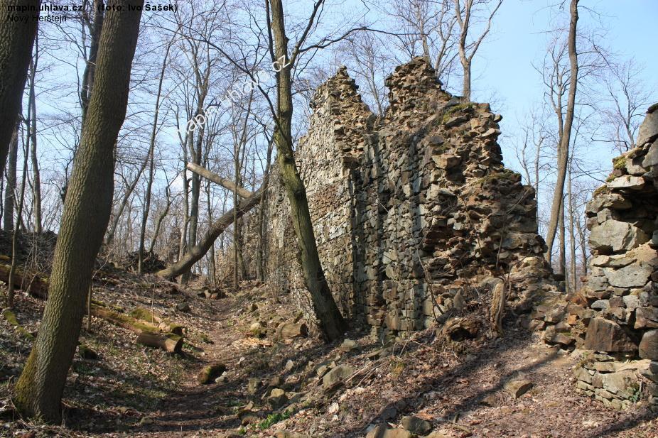Ivo �a�ek