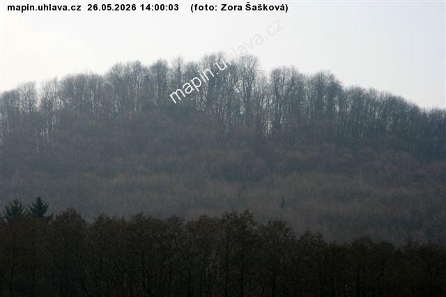 Zora �a�kov�