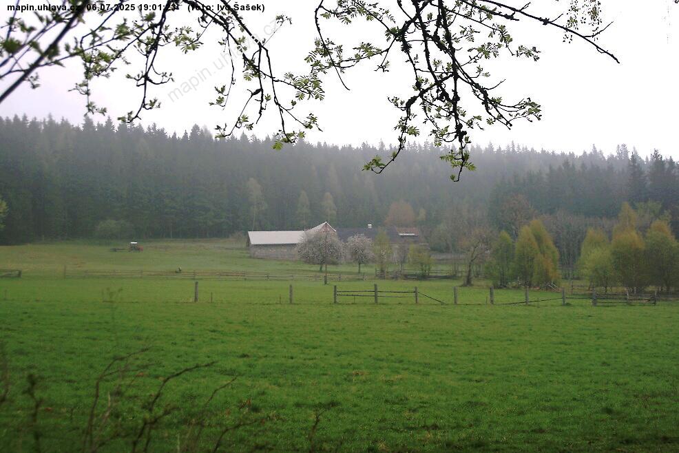 Ivo aek