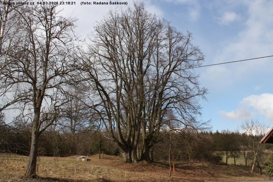 Radana �a�kov�